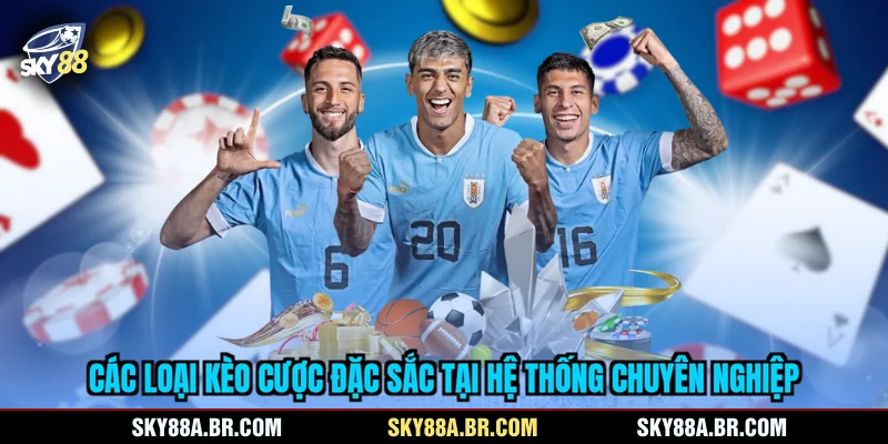Các loại kèo cược đặc sắc tại hệ thống chuyên nghiệp