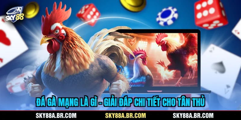 Đá Gà Mạng Là Gì
