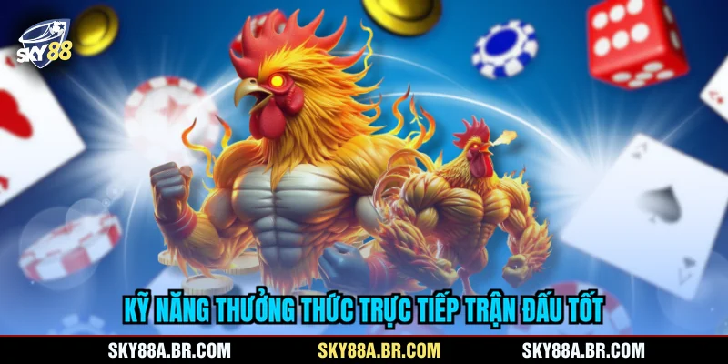 Kỹ năng thưởng thức trực tiếp trận đấu tốt