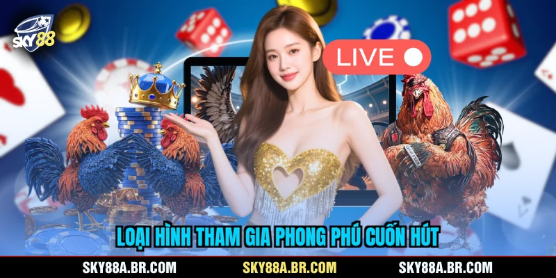 Loại hình tham gia phong phú cuốn hút