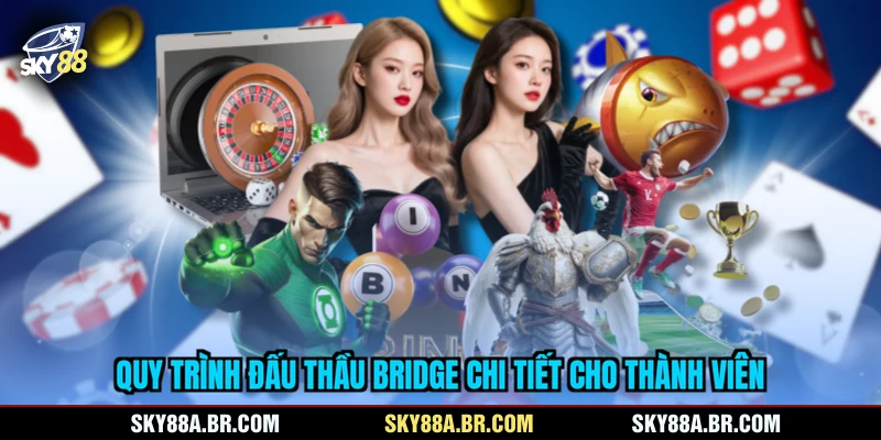 Quy trình đấu thầu Bridge chi tiết cho thành viên
