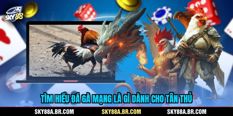 Tìm hiểu đá gà mạng là gì dành cho tân thủ